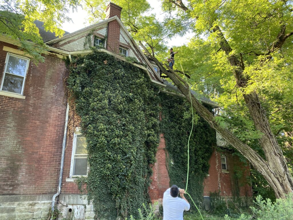 Liability Insurance for Tree Service