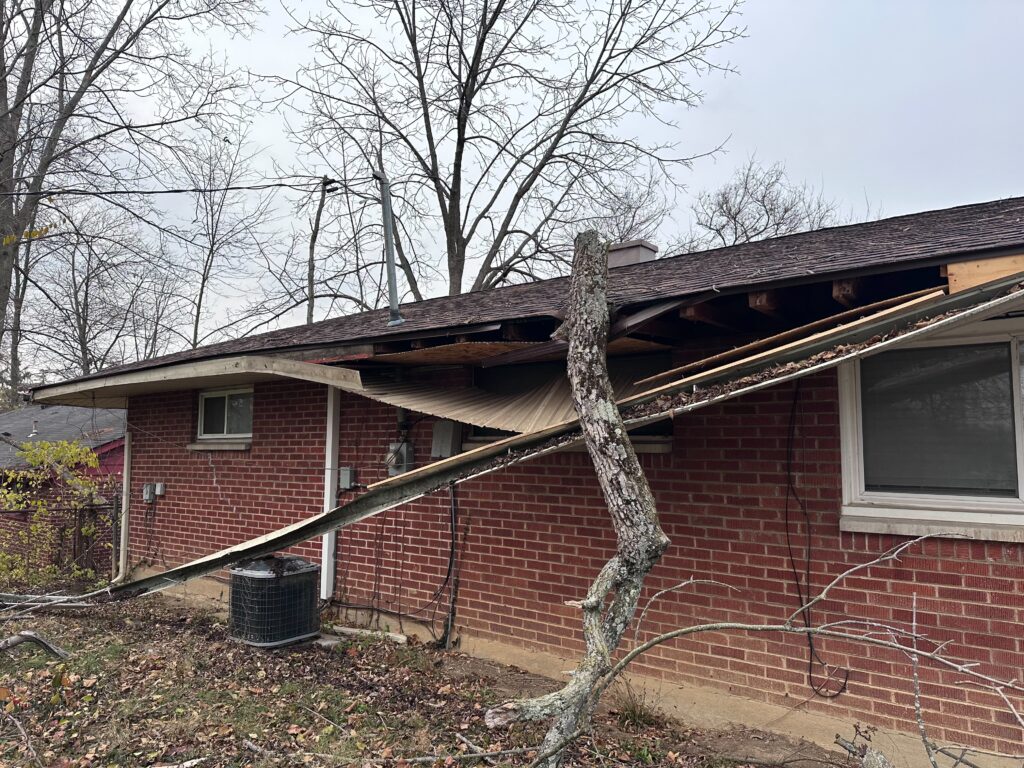 Liability Insurance for Tree Service