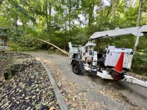 Liability Insurance for Tree Service: The Complete 2026 Guide