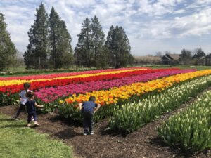 The Yellow Springs Blueprint: A Comprehensive Guide to Insuring Diverse Real Estate Portfolios in Ohio