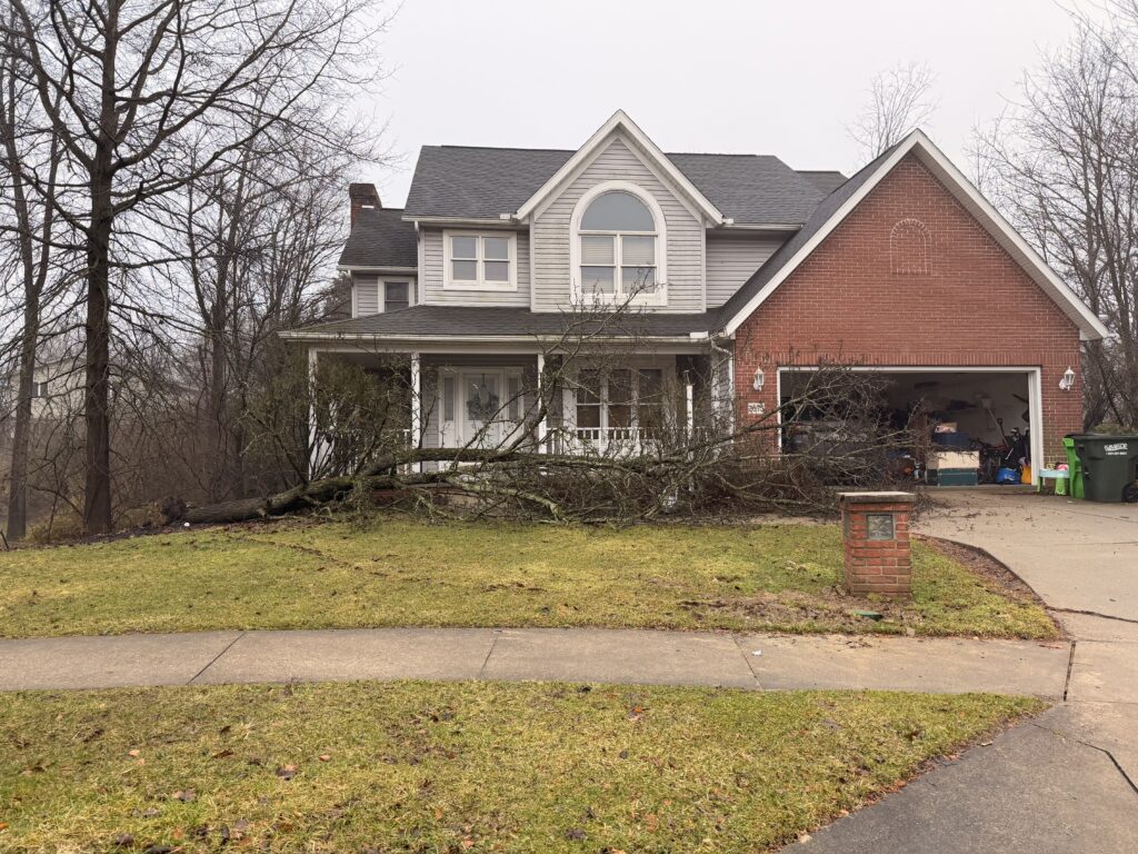 Debris Removal Insurance